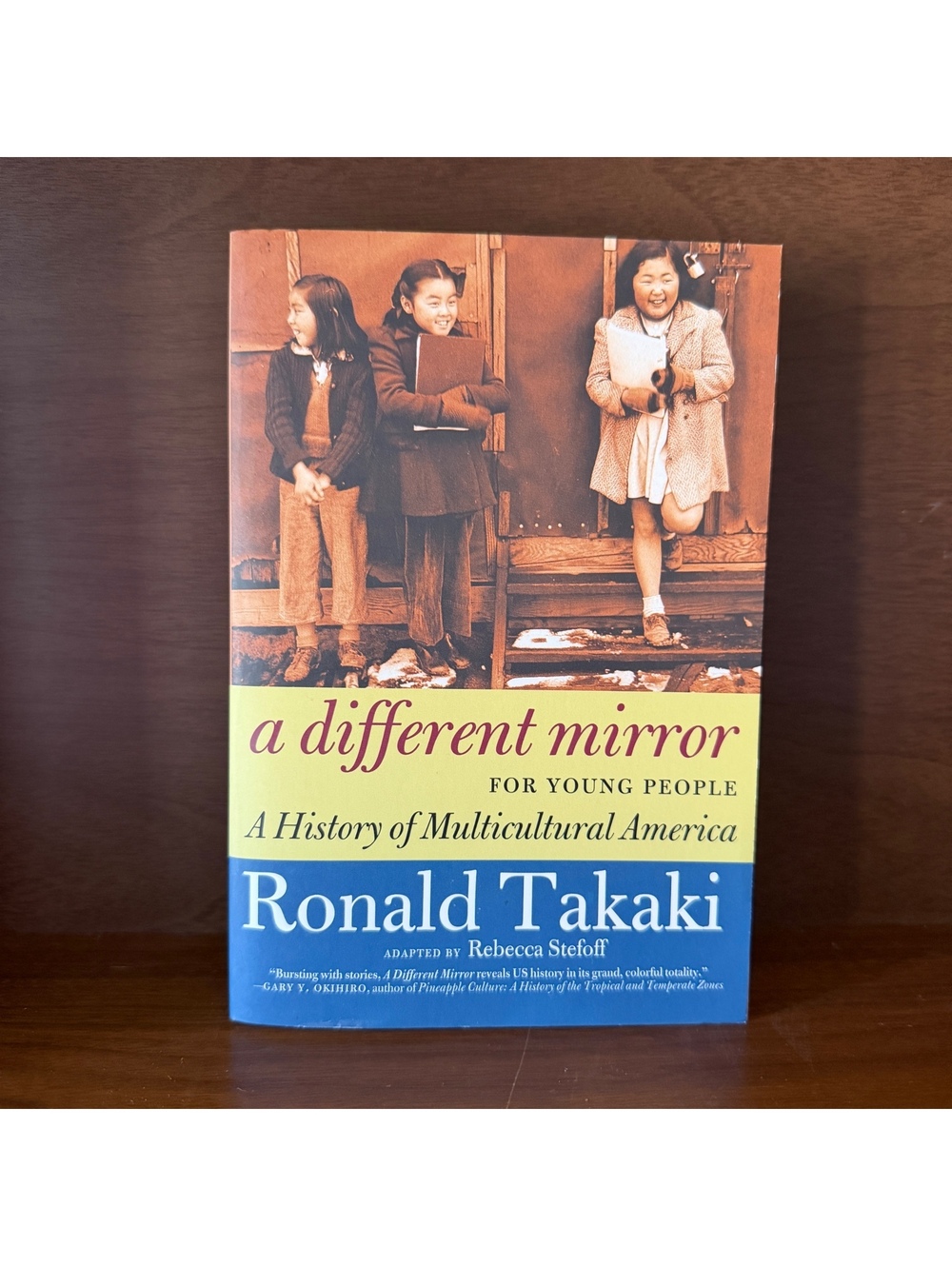 A Different Mirror: A History of Multicultural America - Softcover